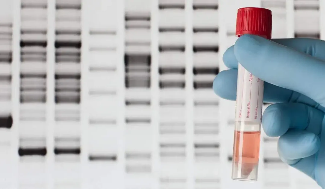 Medicina personalizada: El futuro de la asistencia sanitaria